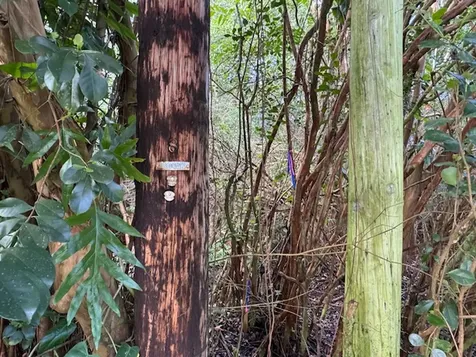 3RD Avenue Keaau HI 96749