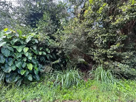 3RD Avenue Keaau HI 96749