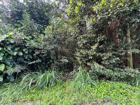 3RD Avenue Keaau HI 96749