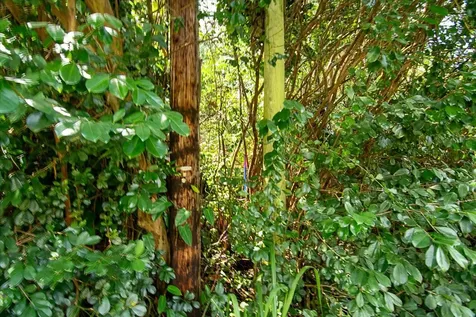 3RD Avenue Keaau HI 96749