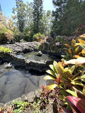 15-1909 3rd Avenue Keaau HI 96749