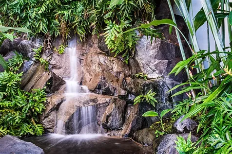 75-6040 Royal Sea Cliff Club Kailua-kona HI 96740