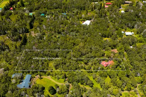 19-3975 Laukapu Avenue Volcano HI 96785