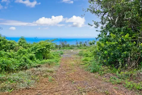 88-1581 Papio Drive Captain Cook HI 96704