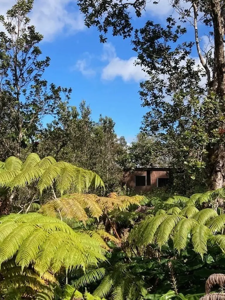 11-3060 Kanilehua Place Volcano HI 96785