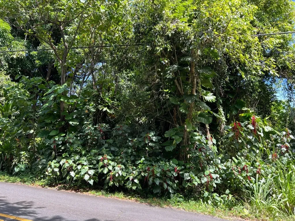 Kalapana-kapoho Beach Road Pahoa HI 96778