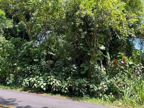 Kalapana-kapoho Beach Road Pahoa HI 96778