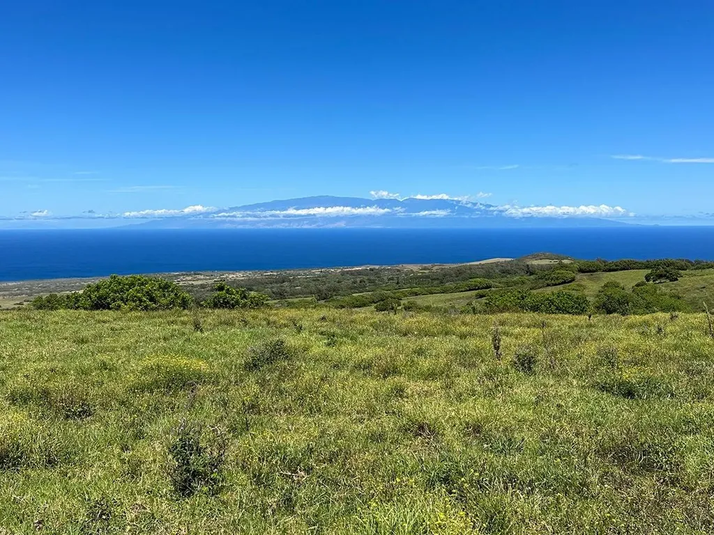56-3149 Puu Mamo Drive Hawi HI 96719