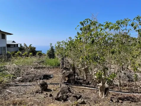 Lilikoi Lane Captain Cook HI 96704