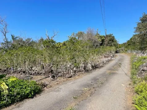 Lilikoi Lane Captain Cook HI 96704