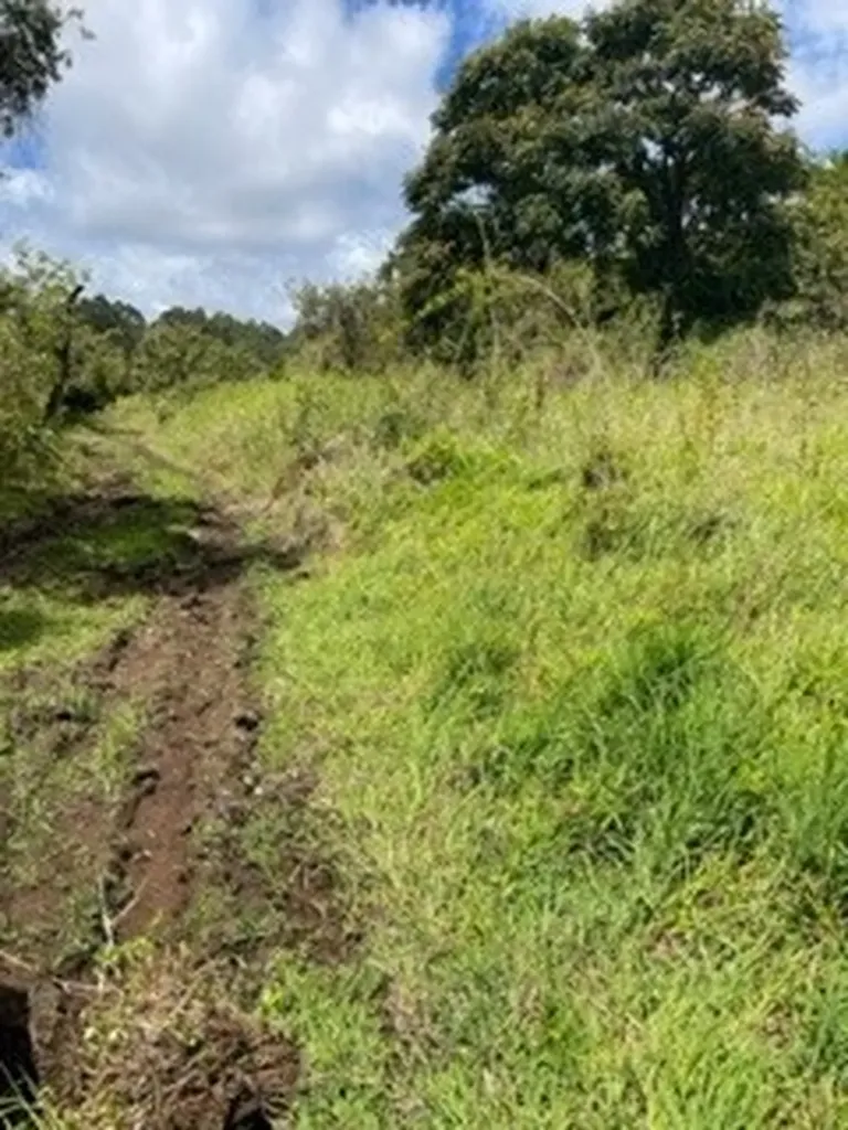 Hilo HI 96720