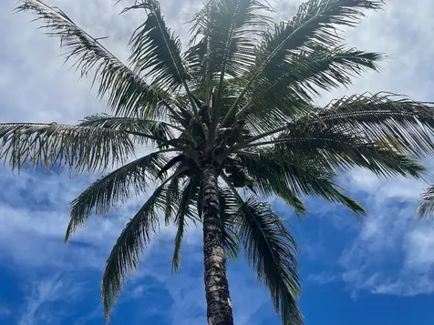 126 W Kinai Place Hilo HI 96720