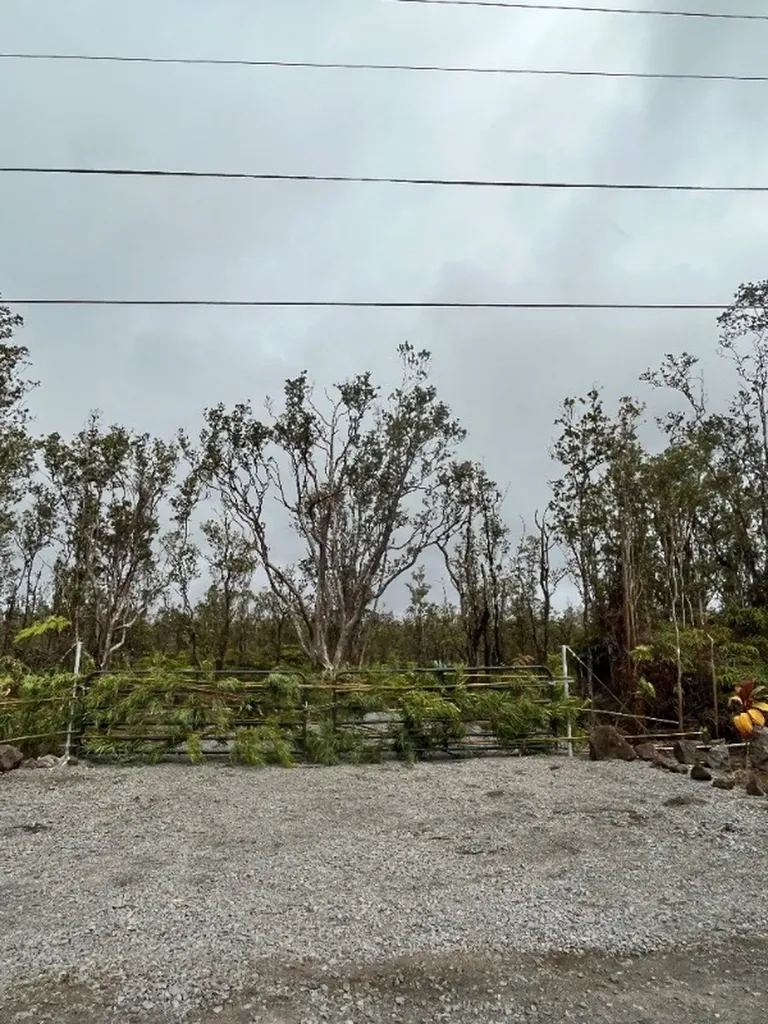 11-2545 Kaleponi Drive Volcano HI 96785