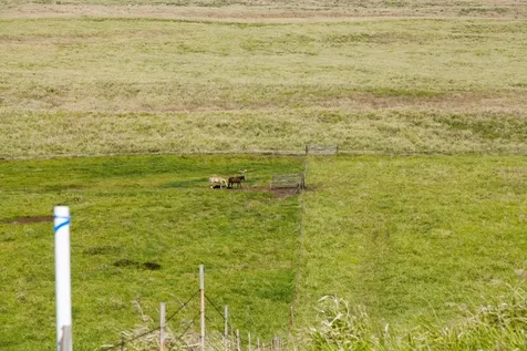 Mountain House Road Naalehu HI 96772