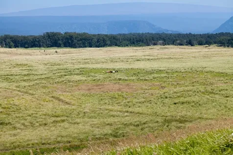 Mountain House Road Naalehu HI 96772