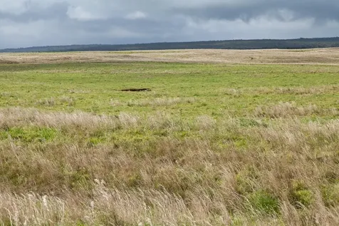Mountain House Road Naalehu HI 96772