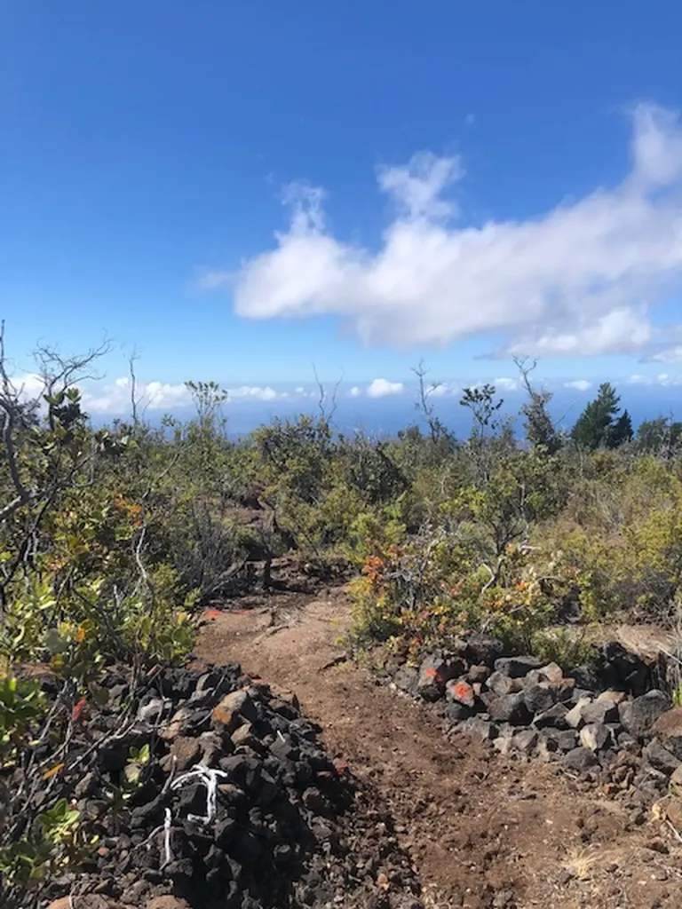 Plumeria Lane Ocean View HI 96737