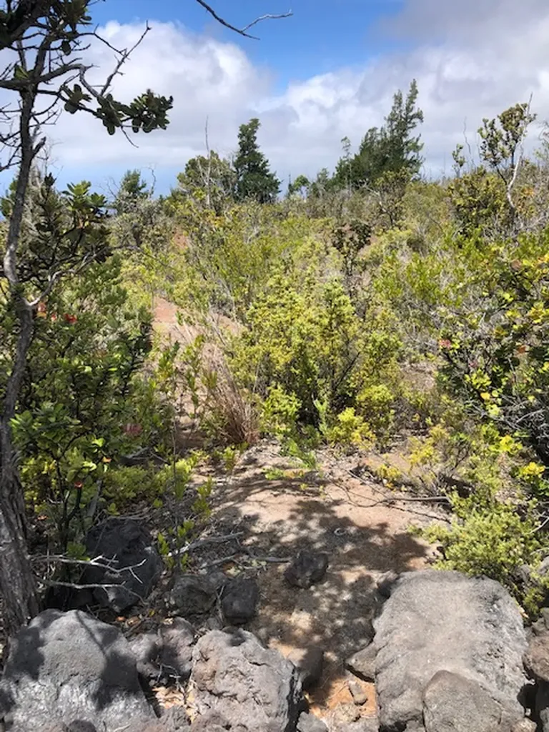 Plumeria Lane Ocean View HI 96737