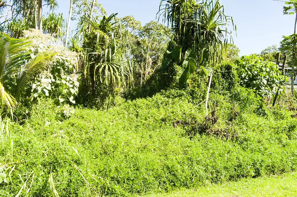 Haukeuke Street Pahoa HI 96778