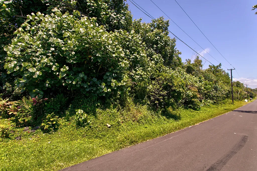 Opae Street Pahoa HI 96778