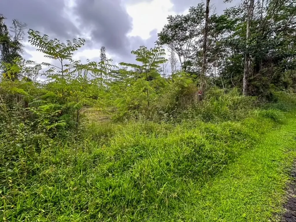 14-3479 Shell Road Pahoa HI 96778