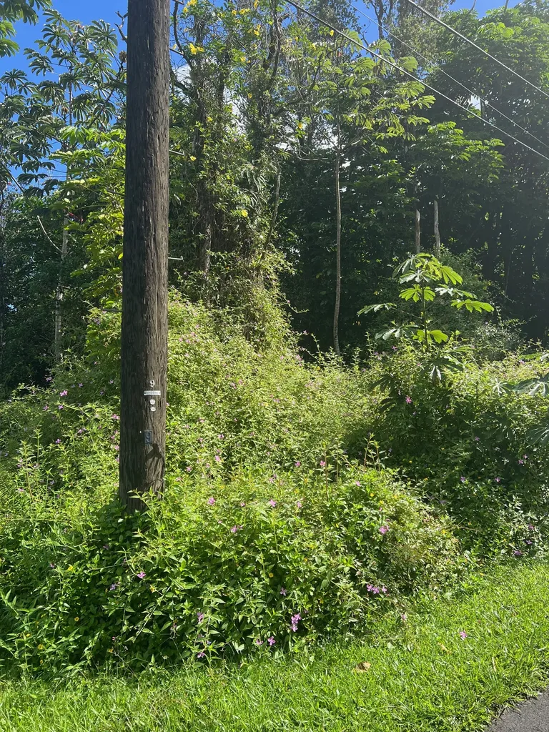 31st Avenue Keaau HI 96749