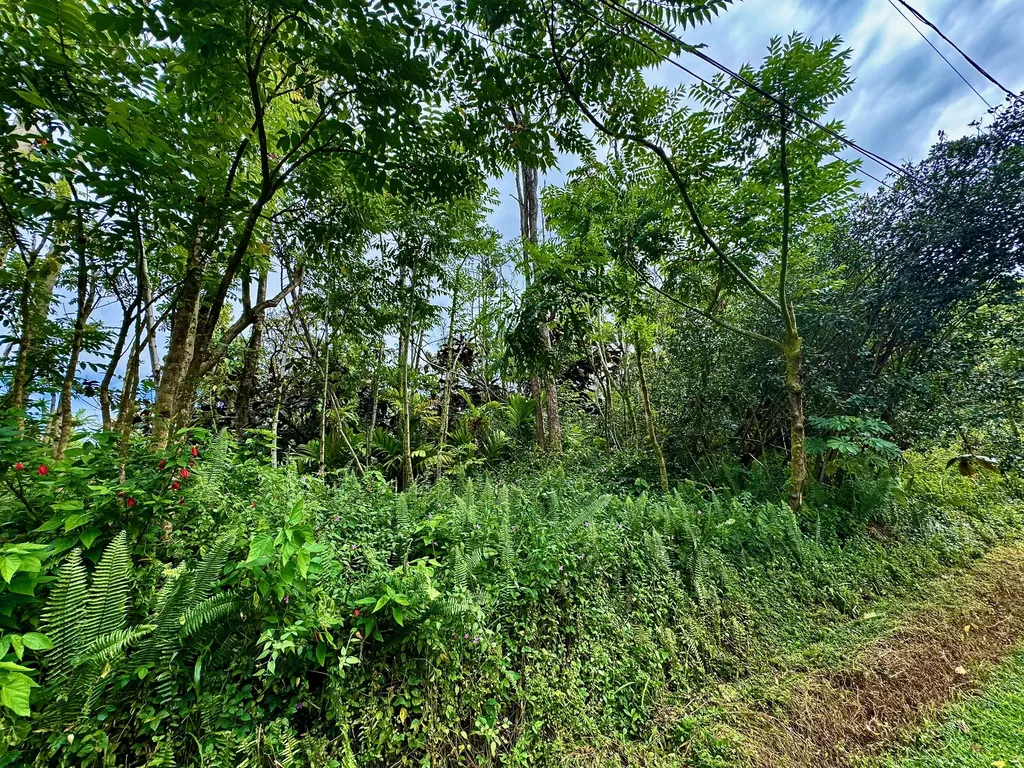 Nohea Street Pahoa HI 96778