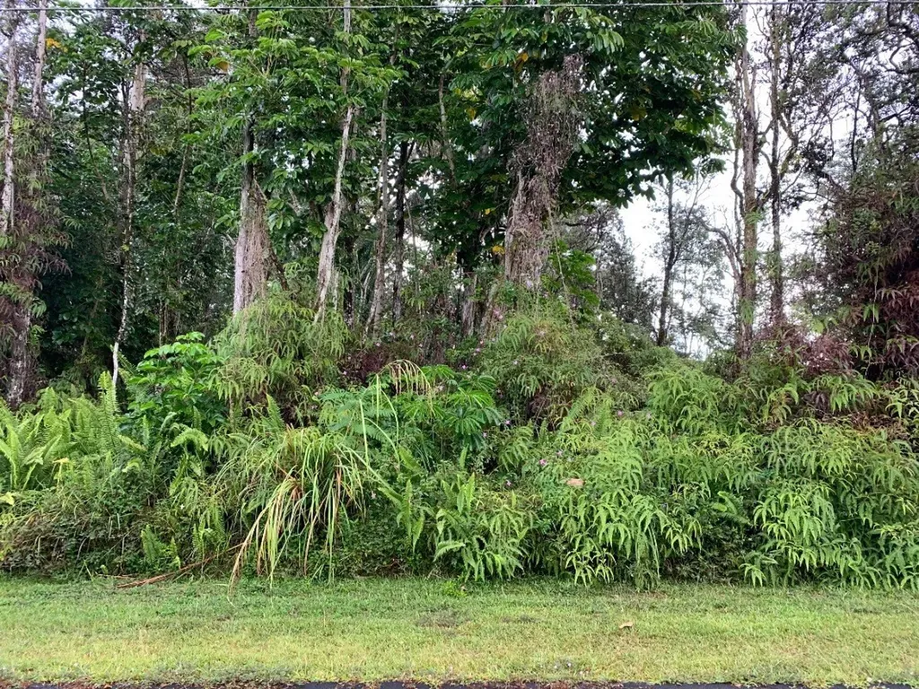 Lai Street Pahoa HI 96778