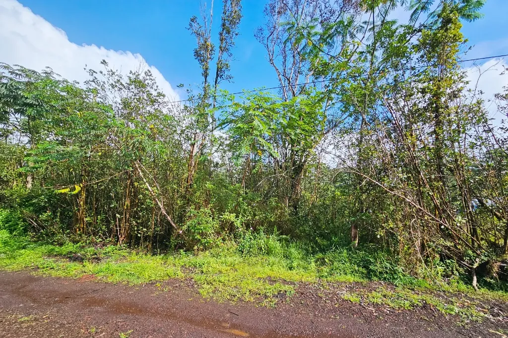 16-2023 Sandalwood Court Kurtistown HI 96760