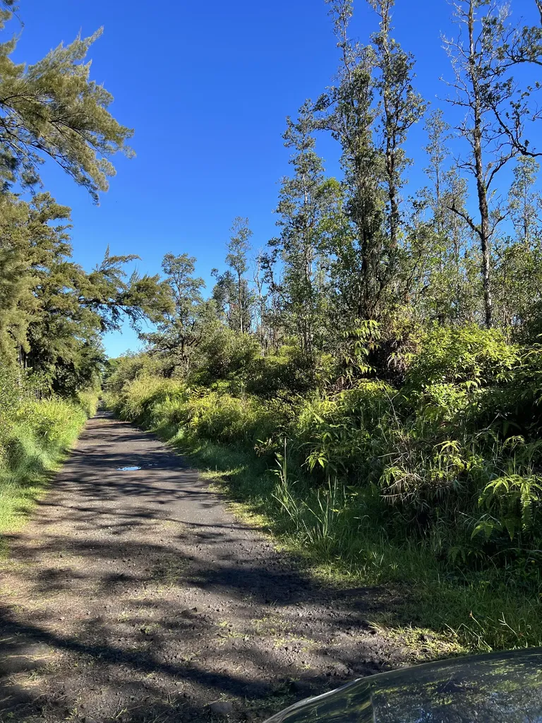 Road 3 (hopue) Mountain View View HI 96771