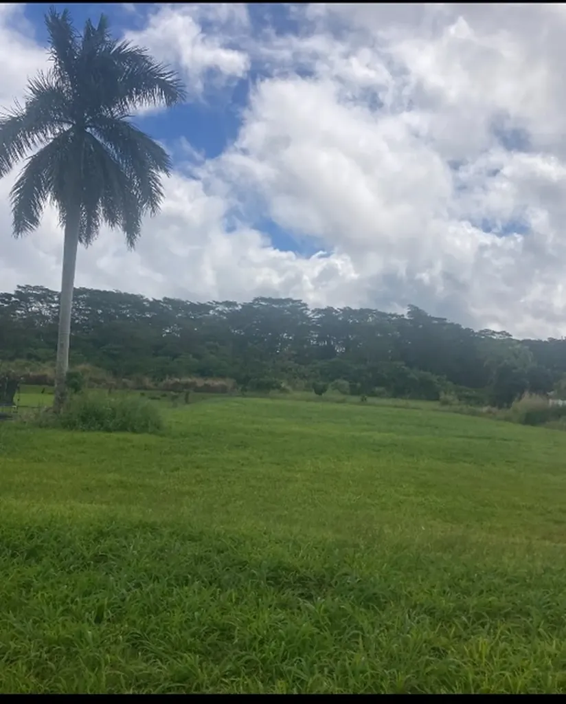 16-2245 Mamaka Street Keaau HI 96760
