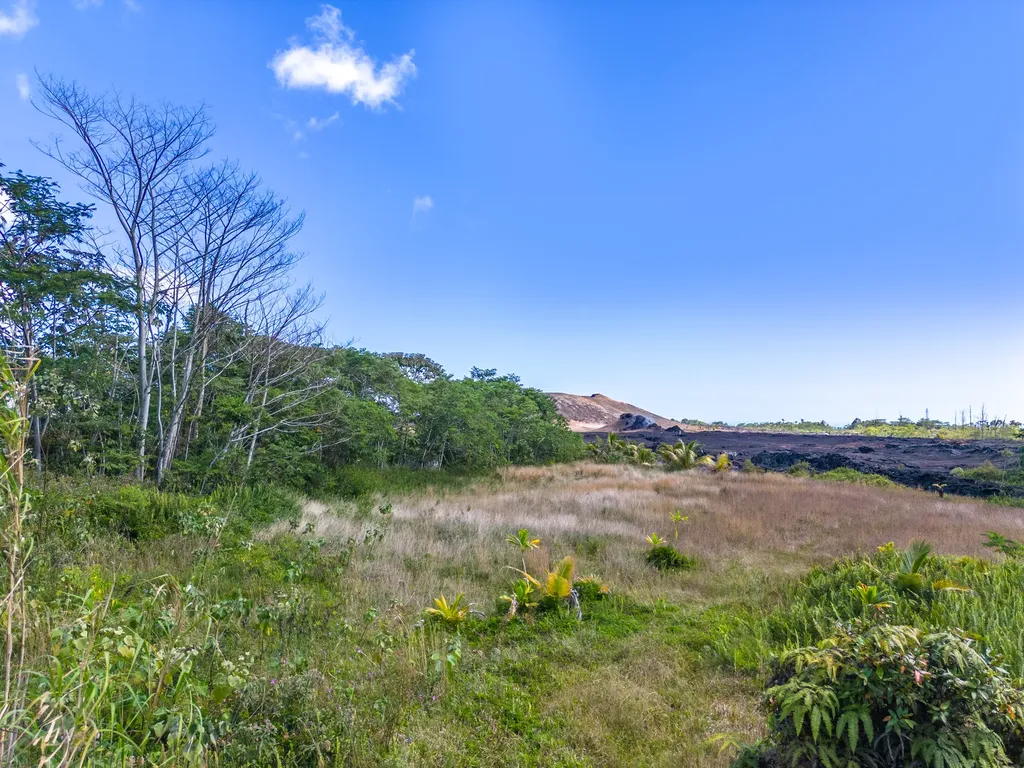 13-3559 Kupono Street Pahoa HI 96778