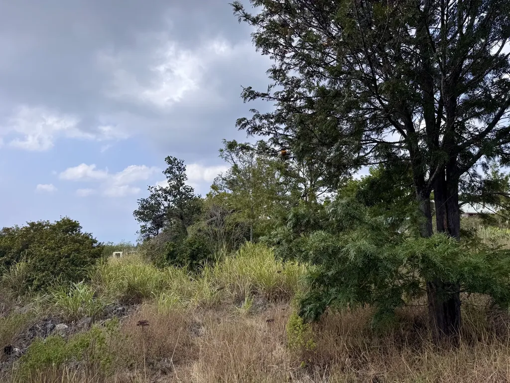 King Kamehameha Boulevard Ocean View HI 96737