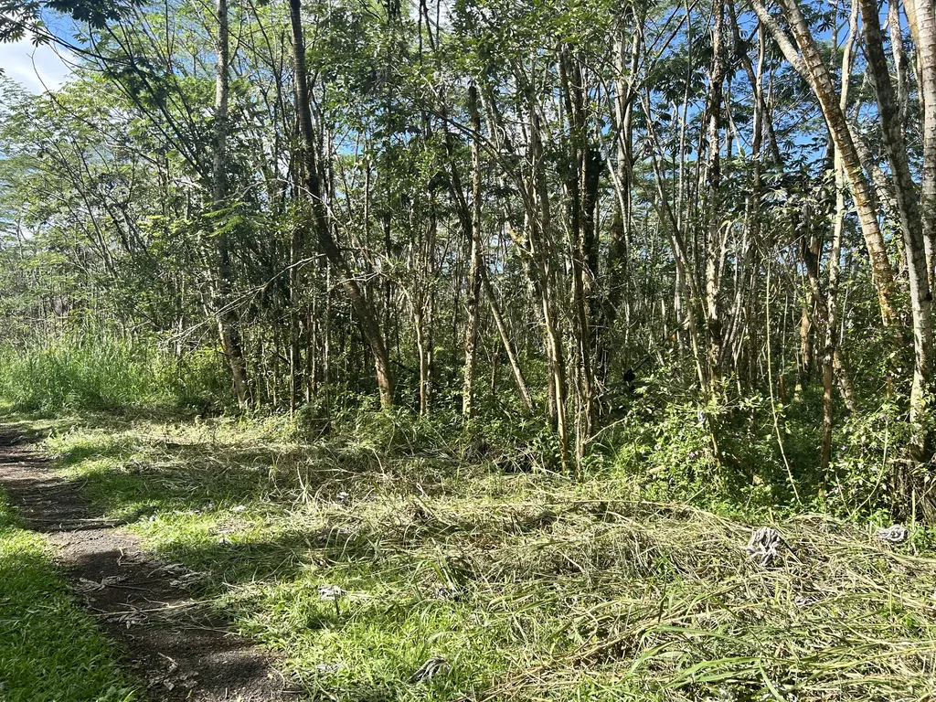Pikake Road Pahoa HI 96778