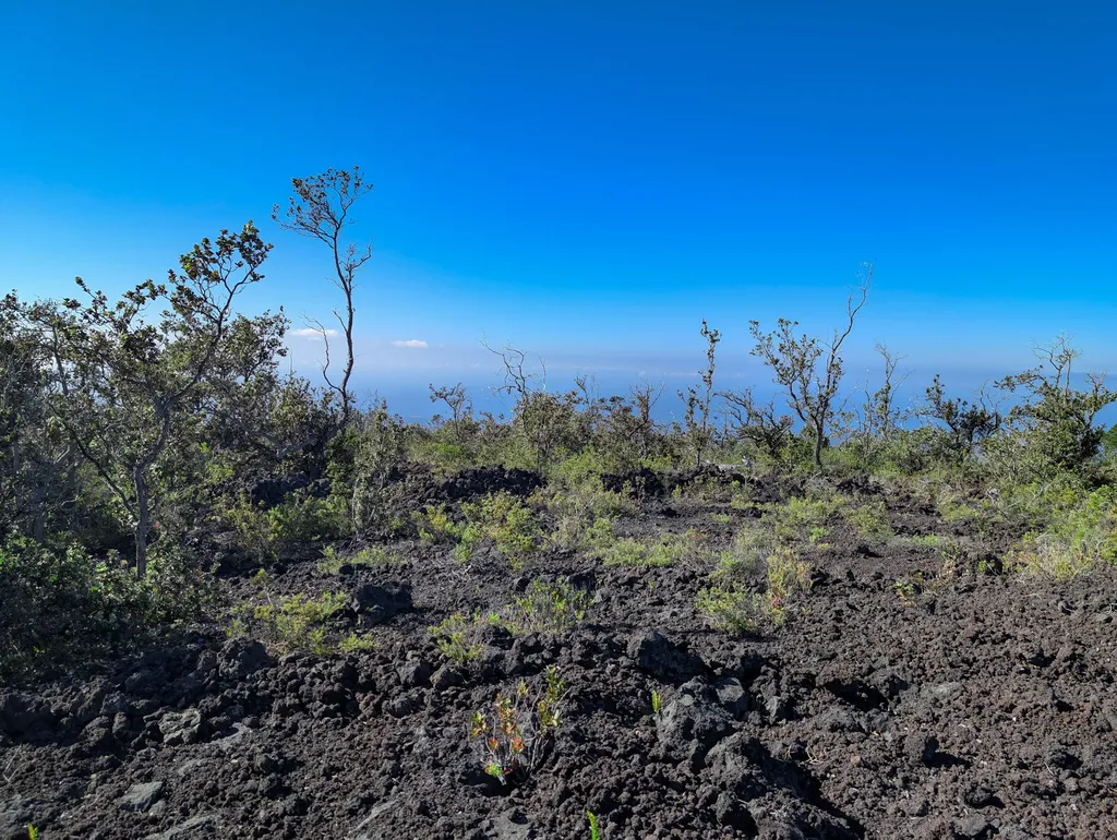 Reef Circle Makai Ocean View HI 96737
