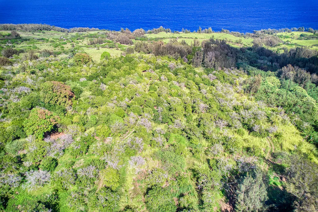 47-4536 Honokaa Waipio Road Honokaa HI 96727