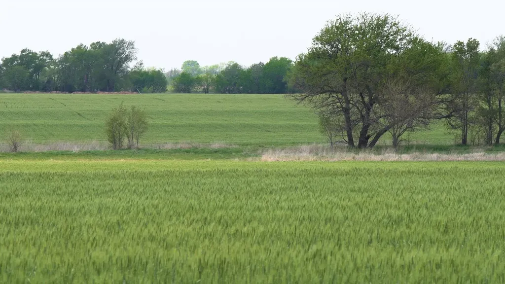 Lot 8 Block 3 Dry Creek Estates Goddard KS 67052