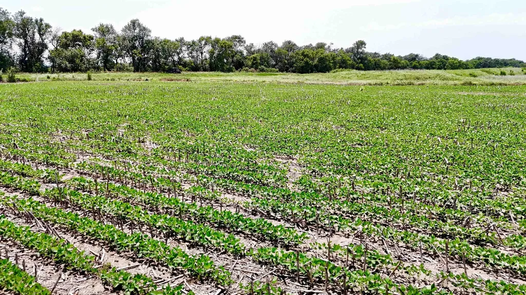 6107 S Hoover Road Sedgwick KS 67135