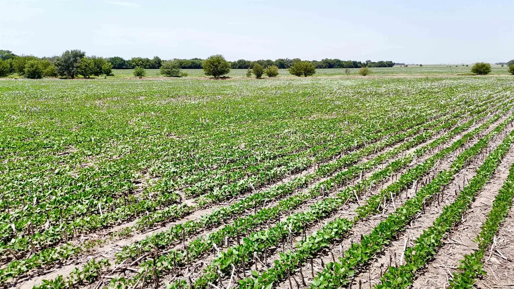 6107 S Hoover Road Sedgwick KS 67135