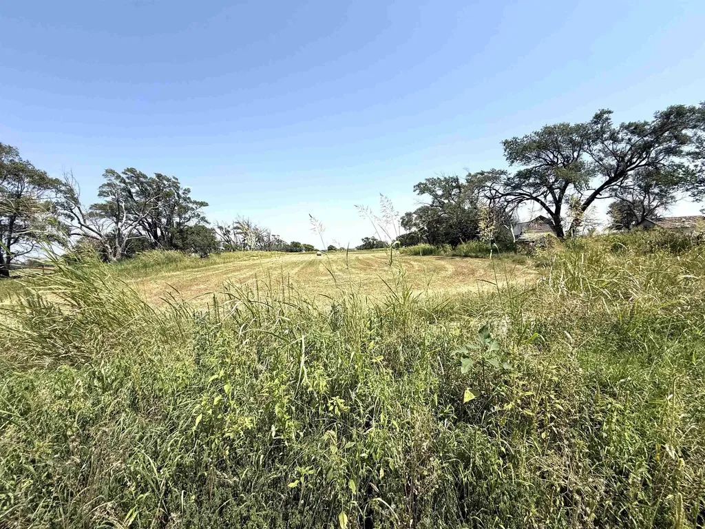 1003 N Springfield Avenue Anthony KS 67003