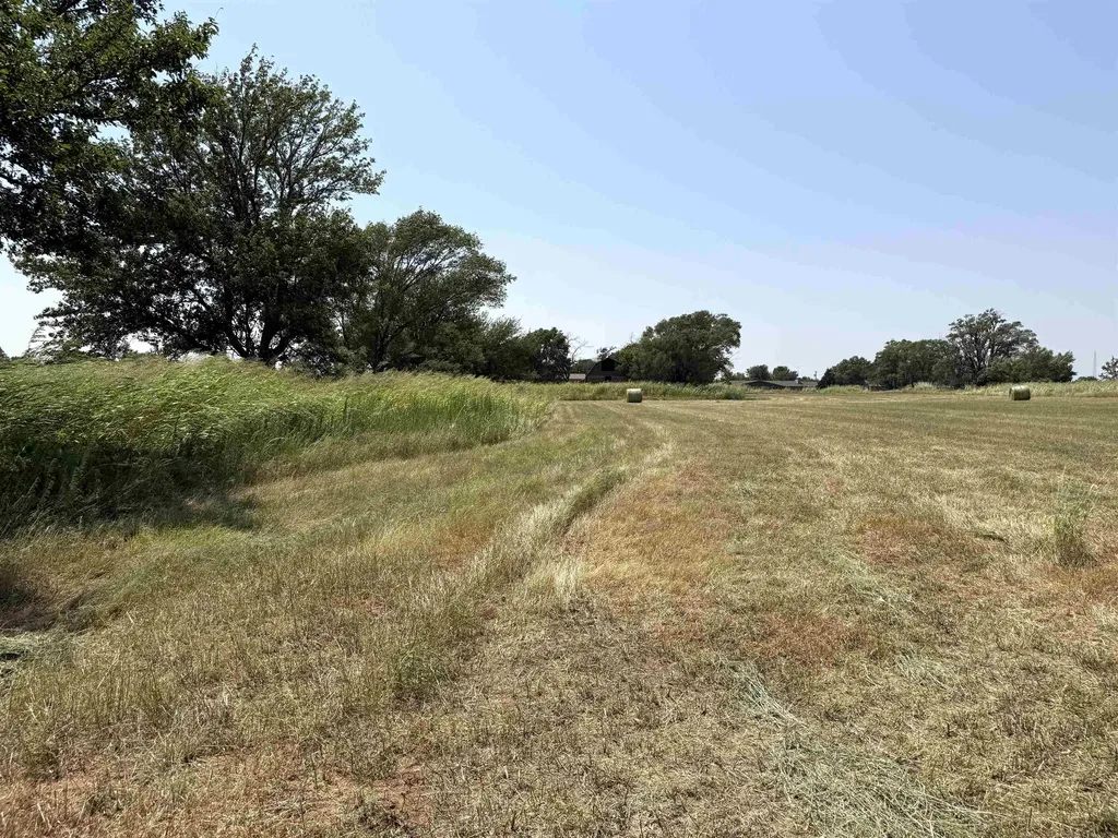 1003 N Springfield Avenue Anthony KS 67003