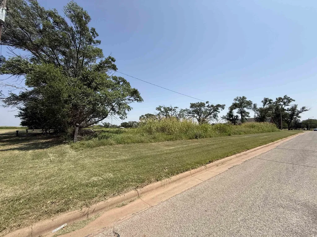 1003 N Springfield Avenue Anthony KS 67003