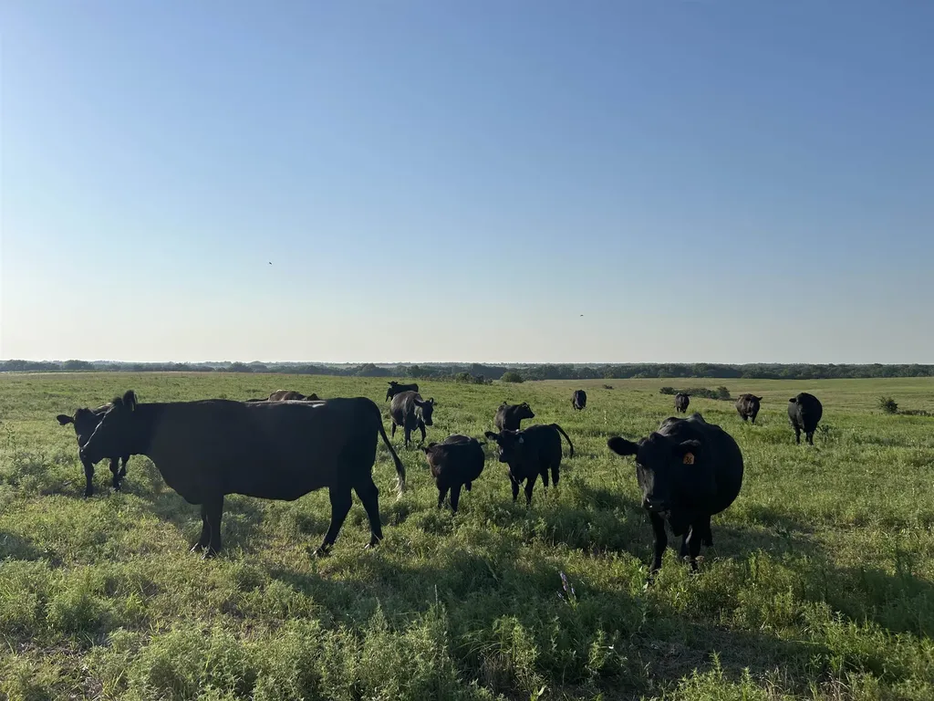 72ND Winfield KS 67156