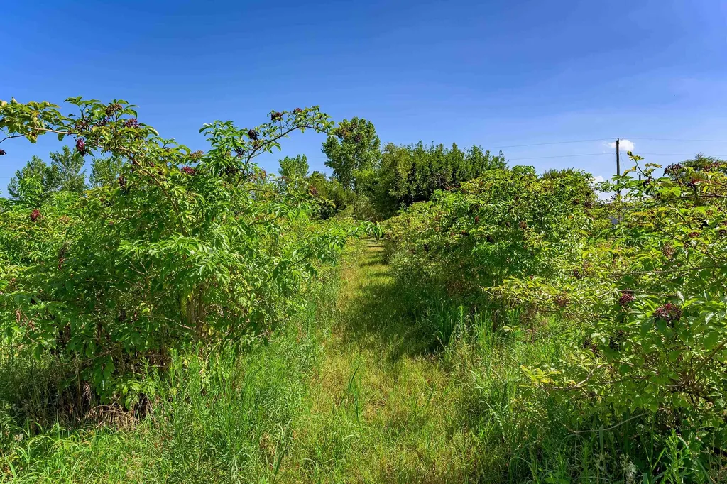 1378 N Hydraulic Road Mulvane KS 67110