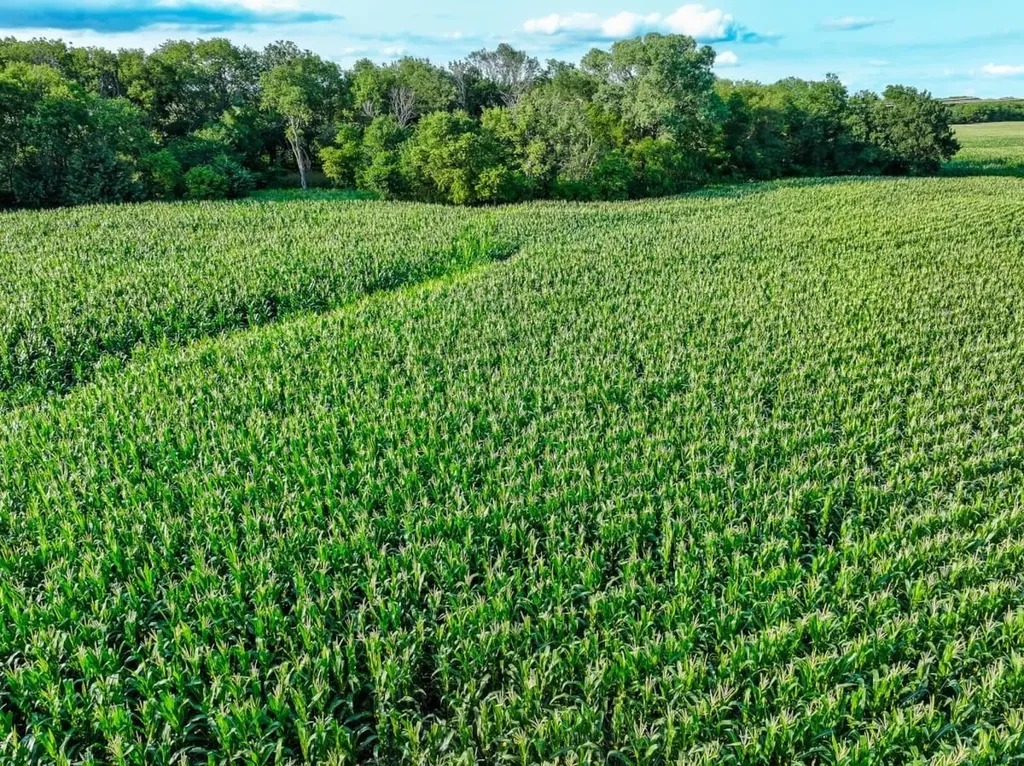 000 SW County Line Road Benton KS 67017