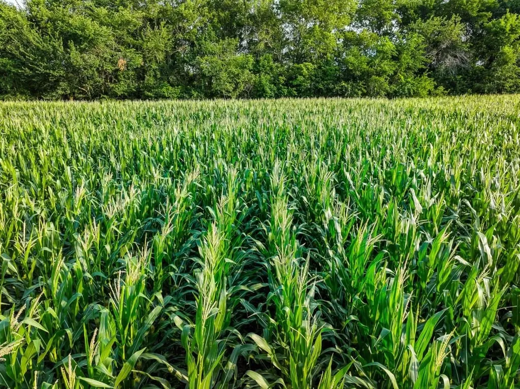 000 SW County Line Road Benton KS 67017