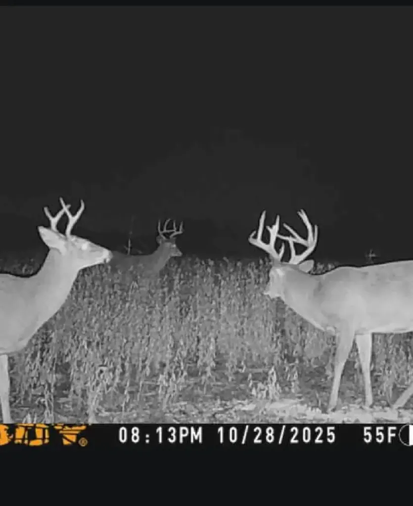 000 SW County Line Road Benton KS 67017
