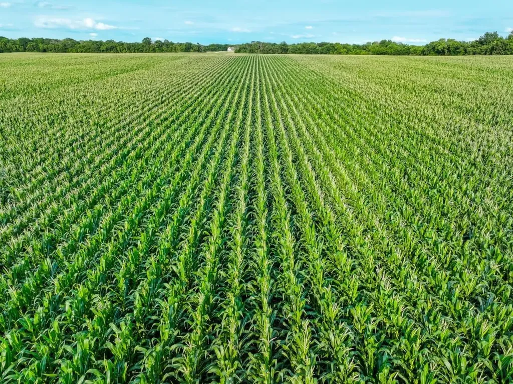 000 SW County Line Road Benton KS 67017