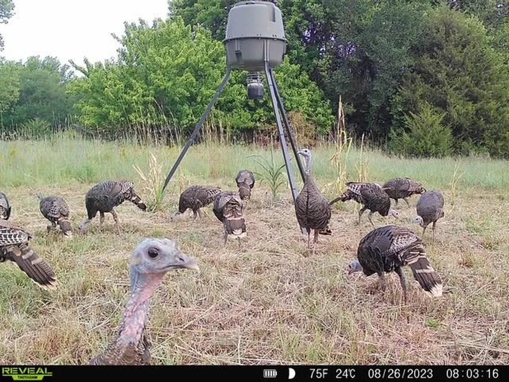 20465 SW Tawakoni Road Douglass KS 67039