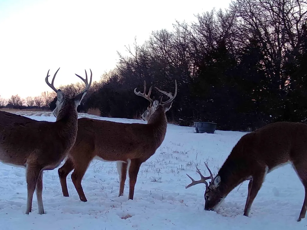 20465 SW Tawakoni Road Douglass KS 67039